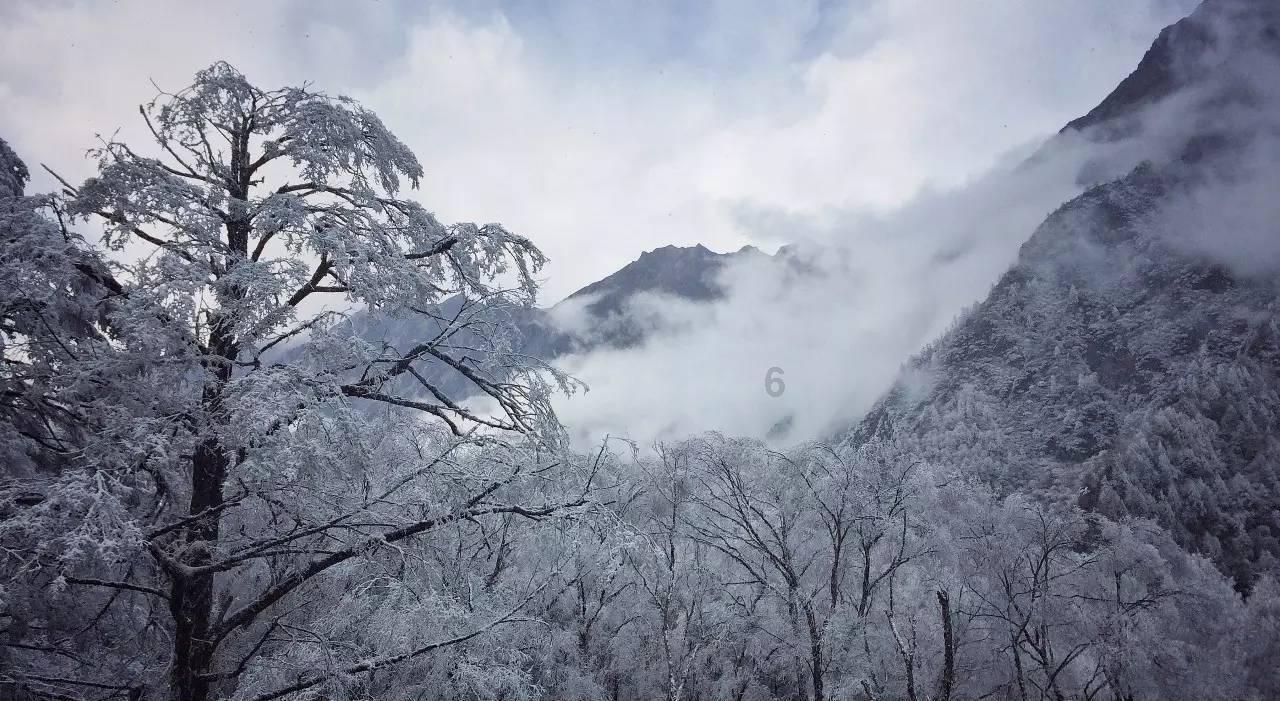 一元硬币倒地两面声音是否一样？怎样区分？游戏画面
